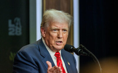 Trump on H-1B Visas: Large Amounts of Workers Hurt Wages, But ‘You Don’t Have Certain Talents’ in U.S.