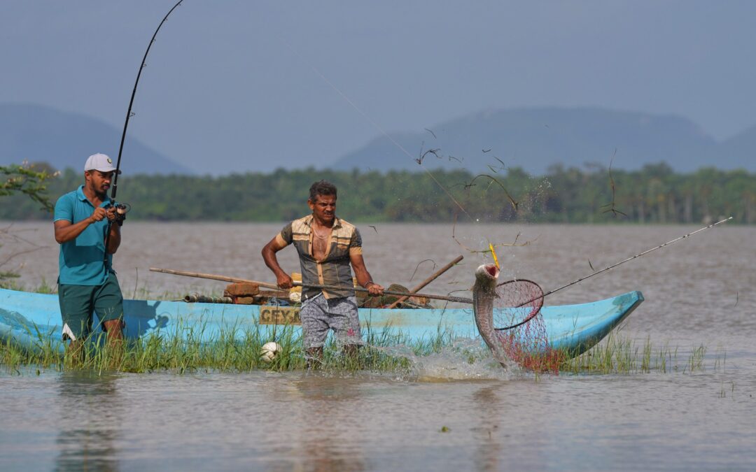 Sri Lankan villagers adapt to threat of snakehead fish invasion
