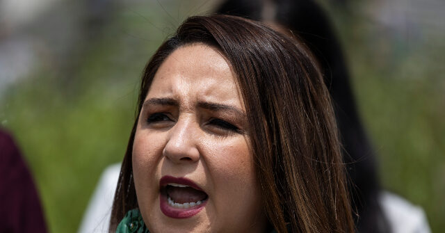 Dem Rep. Ramirez: CBP Has Been Acting Badly 'for a Very Long Time', That's 'Why We Have to Stop Talking About Basic Reforms'