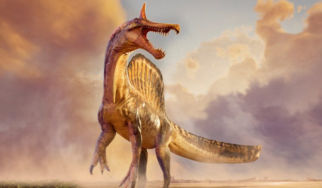 Fossils of huge 'hell heron' dinosaur unearthed...