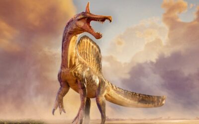 Fossils of huge ‘hell heron’ dinosaur unearthed…
