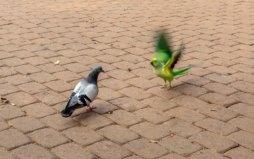 The Delicate Politics of Hiring Someone from Another Team