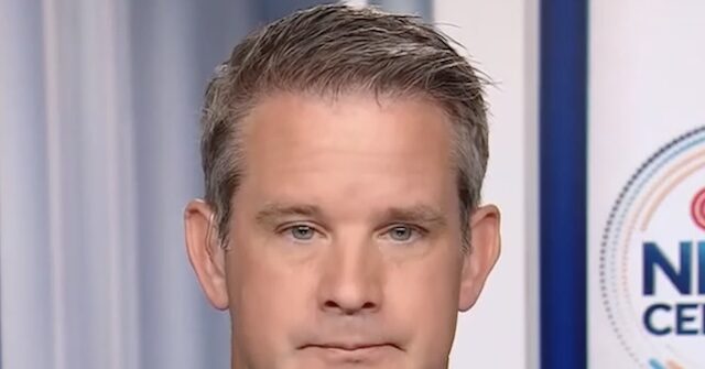 Kinzinger: Trump Has Been Like Putin, 'Straight Up Lying' About the Iran Conflict