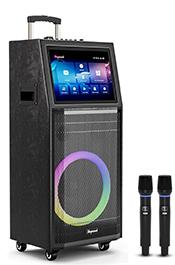 Man jailed for karaoke rage...