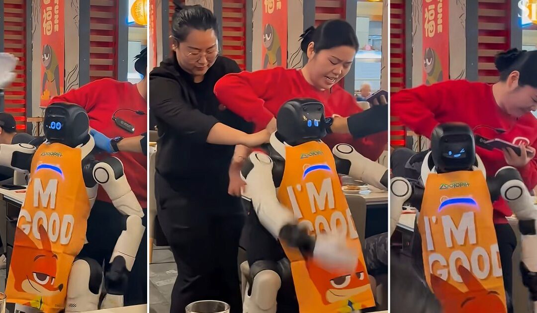 Robot Goes Berserk in Restaurant, Dragged Away by Staff After Smashing Tableware...