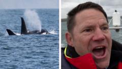 'Unbelievable!': Backshall overjoyed at rare sighting of orcas