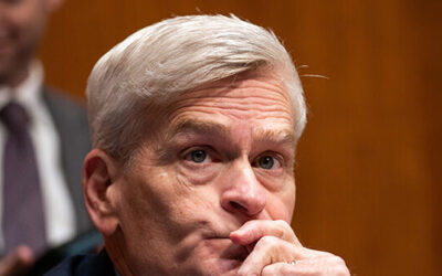 Report: Bill Cassidy Risks Missing Runoff as Letlow, Fleming Surge in Louisiana Senate Race