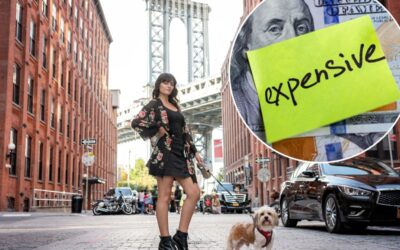 The $50,000 puppy: Pet debt crisis reaching breaking point…