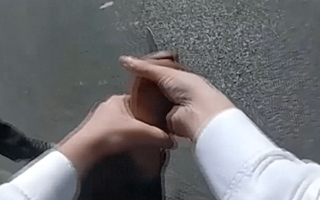 London police release bodycam of arrest after two Jewish men stabbed