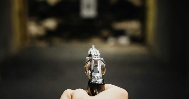 Homeowner Fires Through Door, Kills Alleged Would-Be Intruder