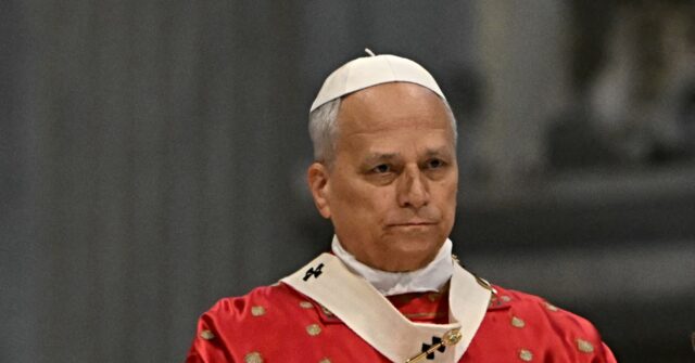 Pope Calls for Robust Regulation of AI and Its Human Developers