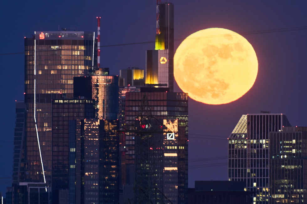 WEEKEND: Rare blue micromoon rises...