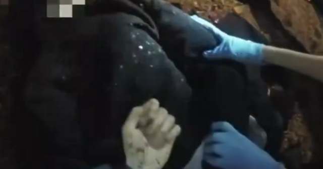 Farage: 'White Lives Matter Too': Outrage Builds as Police Dump Henry Nowak Handcuff Footage in Middle of Night