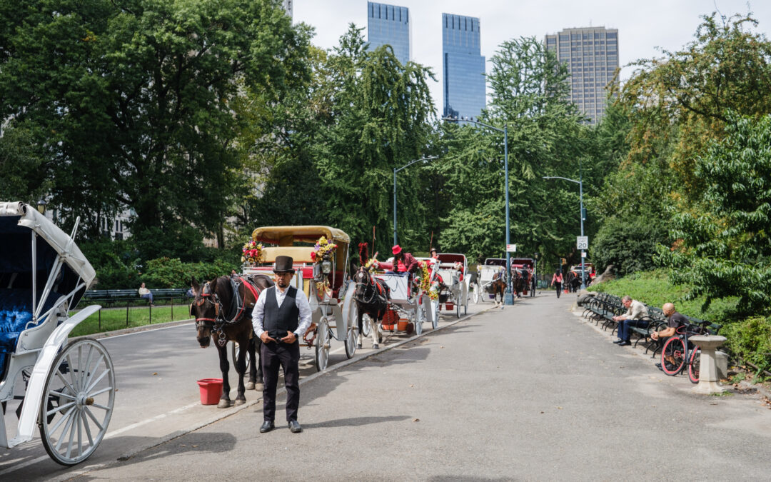 Mamdani pressured to ban NYC’s iconic horse carriage rides after teen tourist’s death