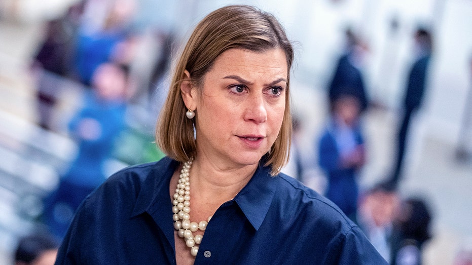 Slotkin says Democratic Party needs 'new leadership': 'Old models are no longer working'