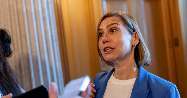 GOP Lawmakers Rebuke Elissa Slotkin Saying SAVE Act Would Hurt Women