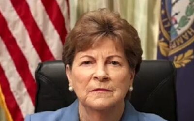 Shaheen: I ‘Never’ Pushed to End Shutdown Over ICE