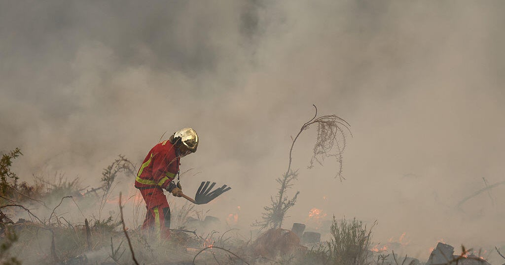 More than 300,000 people flee homes in France and Spain as wildfires burn...