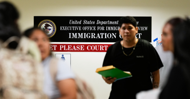Pro-Migrant Advocates Flood Courts with Deluge of Immigration Lawsuits