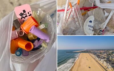 Popular NJ beach closed after dozens of syringes wash up on shore…