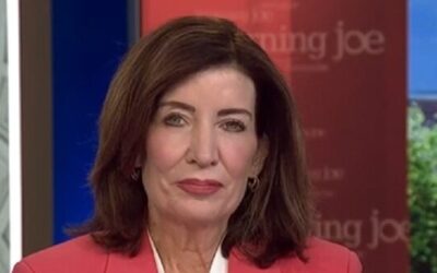 Hochul: I Wish ‘Rogue Policing’ ICE ‘Would Just Disband’, Go Back to INS