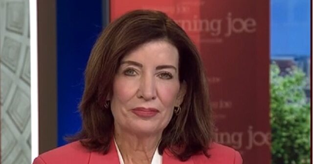 Hochul: I Wish 'Rogue Policing' ICE 'Would Just Disband', Go Back to INS