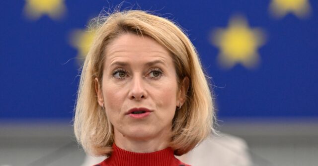 EU's Top Diplomat Accuses Russia of 'State Sponsored Terrorism'