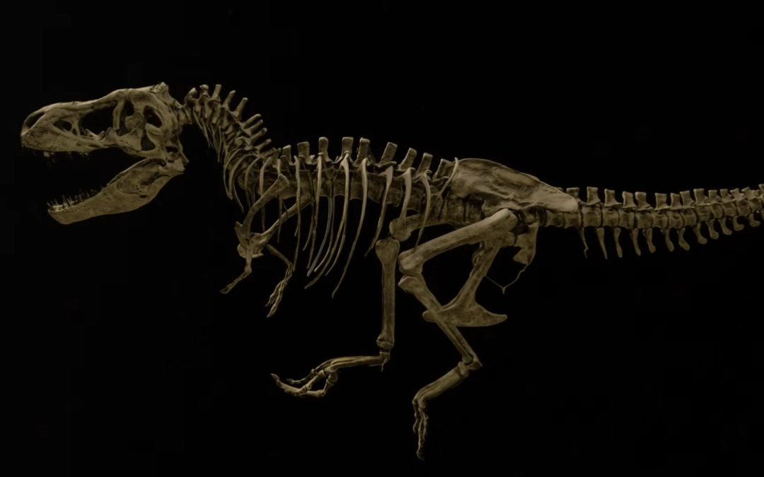 ‘Winning the lottery’: Preserved fossil tissue reveals shocking cause of death for largest T. Rex ever found