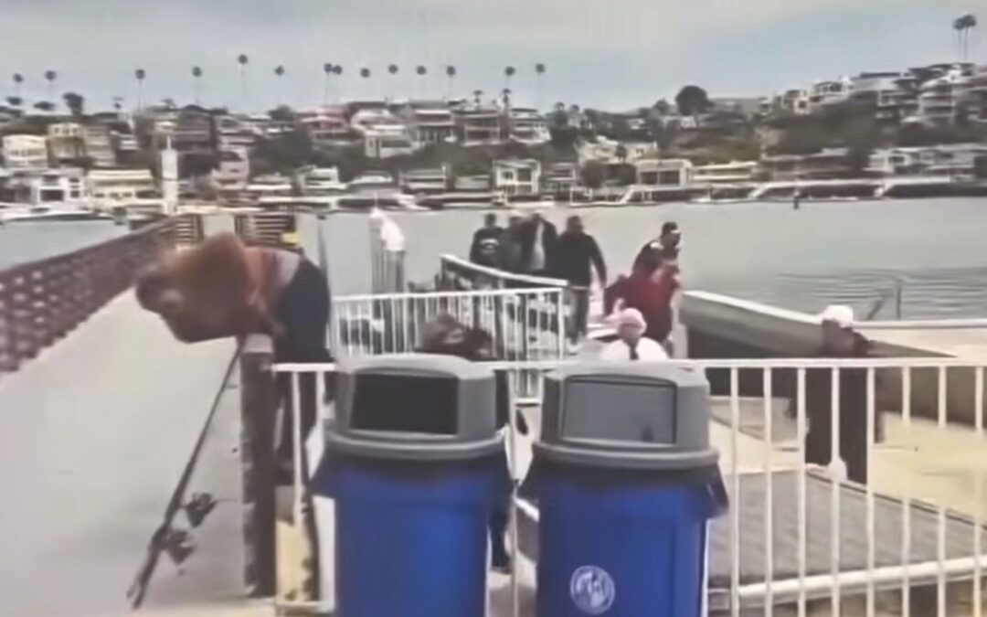 Large group of suspected illegal migrants dumped in ritzy California harbor before fleeing among mansions