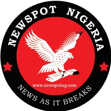 Paul Ibe Questions Tinubu Administration Over Alleged Politics Of Intimidation